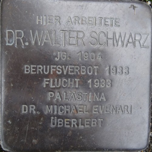 Stolperstein für Michael Evenari vor dem Botanischen Institut der TU Darmstadt